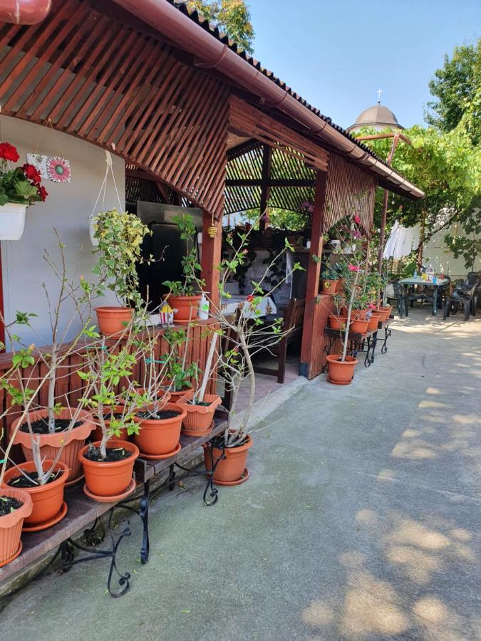 Casa Ghemus Costinesti Hotel Luaran gambar