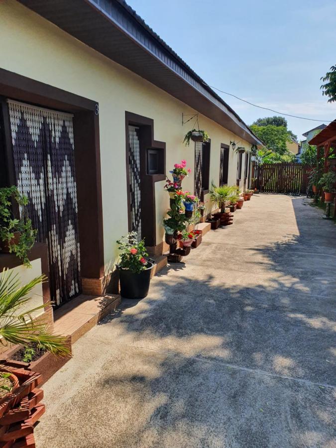 Casa Ghemus Costinesti Hotel Luaran gambar