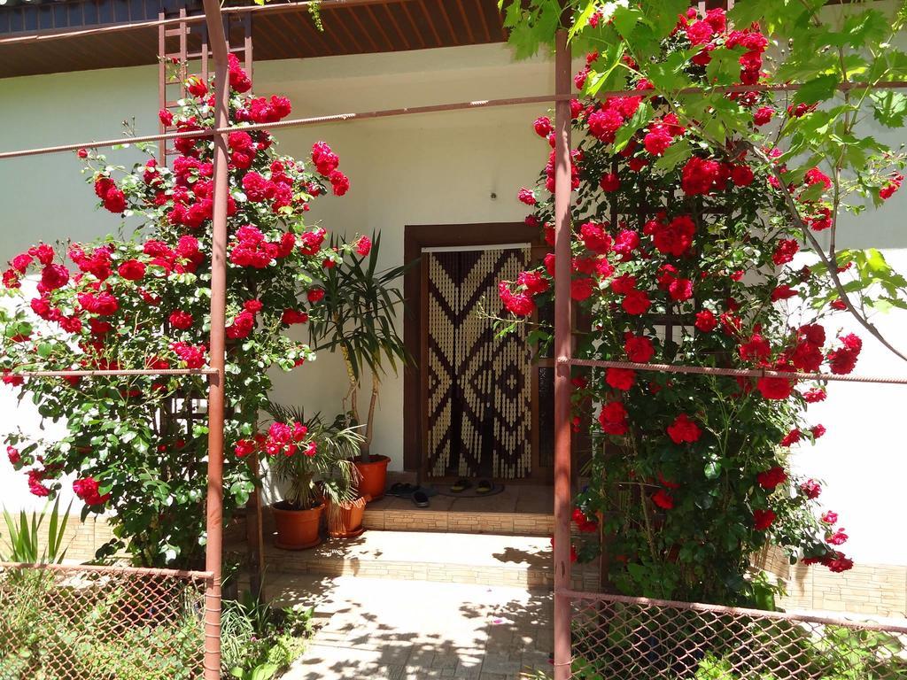 Casa Ghemus Costinesti Hotel Luaran gambar